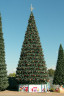 Уличная елка Уральская зеленая 13 м., каркасная, ПВХ, Green Trees (GT13URPVC)