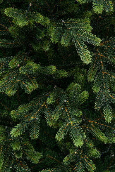 Искусственная елка Венецианская 300 см., 950 мульти/теплых белых Led ламп (2в1), Литая хвоя+ПВХ, ЕлкиТорг (175300) оптом