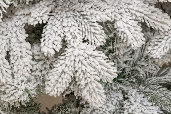 Искусственная елка Камчатская заснеженная 150 см., литая хвоя+пвх, ЕлкиТорг (143150) оптом