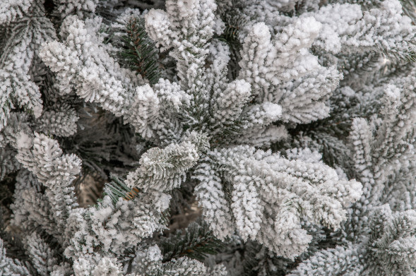 Искусственная елка Имперская заснеженная 180 см., литая хвоя+пвх, ЕлкиТорг (145180) оптом