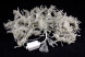 Занавес с мерцающим диодом 2*3 м., 220V, 320 красных LED ламп, прозрачный провод, Winner Light (R.03.5T.320+) 