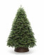 Искусственная елка Богемская 270 см., Литая хвоя+ПВХ, ЕлкиТорг (22270) оптом