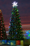 Комплект освещения Динамика для елей высотой 18 м., 6480 LED, 36 шт.*18 м., Green Trees (Dinamika18)