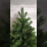 Искусственная елка Таежная 240 см., 100% литая хвоя, ЕлкиТорг (161240) оптом