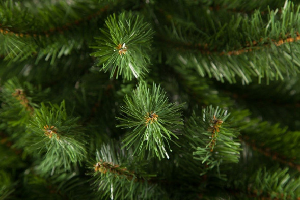 Елка Санкт-Петербург 185 см., мягкая хвоя, Triumph Tree (73580) 
