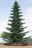 Уличная елка Лесная зеленая 14 м., ствольная, Литая, Green Trees (GT14LESPE) 