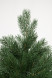Искусственная елка Приозерская 270 см., 100% литая хвоя, ЕлкиТорг (260270) оптом