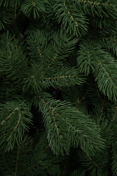 Искусственная елка Приозерская 300 см., 100% литая хвоя, ЕлкиТорг (260300) оптом