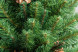 Искусственная елка Снежная королева зеленая 270 см., мягкая хвоя, ЕлкиТорг (32270) оптом
