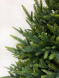 Искусственная ель Королевская стройная зеленая 155 см., 100% литая, TDL (70026) 