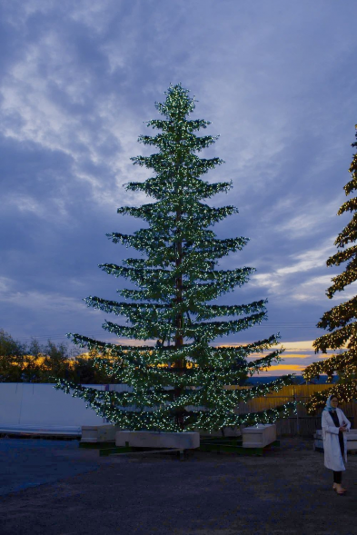 Уличная светодинамическая елка Лесная зеленая 18 м., ствольная, Литая, Green Trees (GT18LESPELED) 