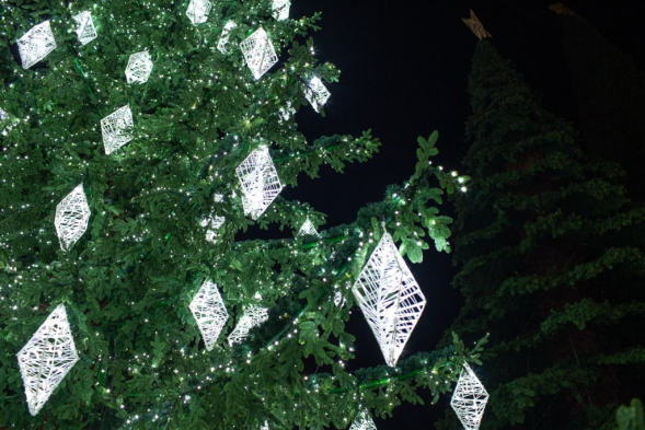 Уличная светодинамическая елка Лесная зеленая 18 м., ствольная, Литая, Green Trees (GT18LESPELED) 